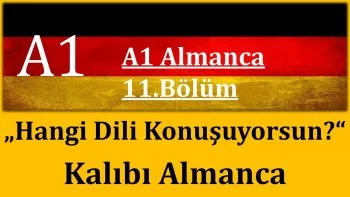 A1 Almanca | 11.Bölüm | Hangi dili konuşuyorsunuz?