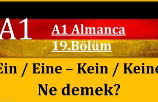 A1 Almanca | 19.Bölüm | Ein-Eine / Kein-Keine Ne demek?
